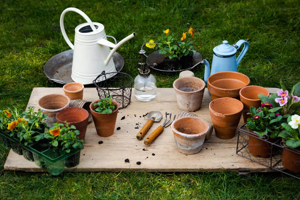 Gardening Essentials